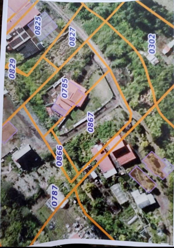 Offres de vente Terrain Plaine-des-Palmistes 97431