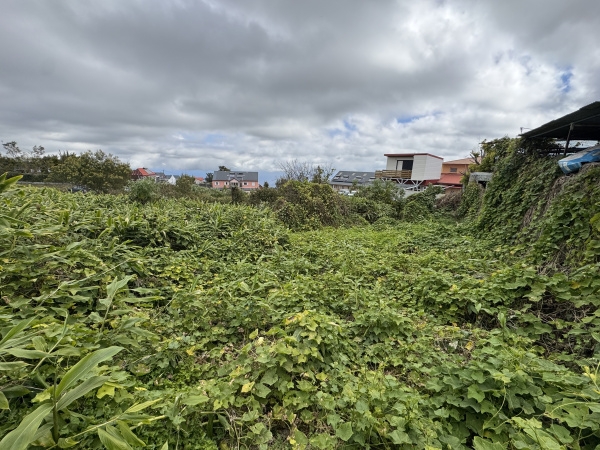Offres de vente Terrain à batir Tampon 97418