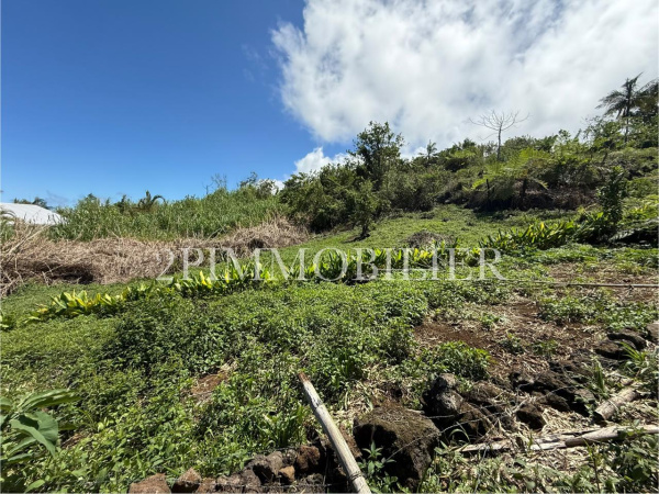 Offres de vente Terrain Saint-Joseph 97480
