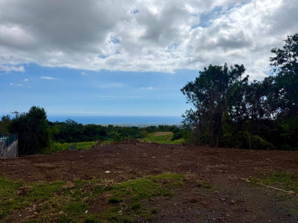 Offres de vente Terrain Tampon 97430