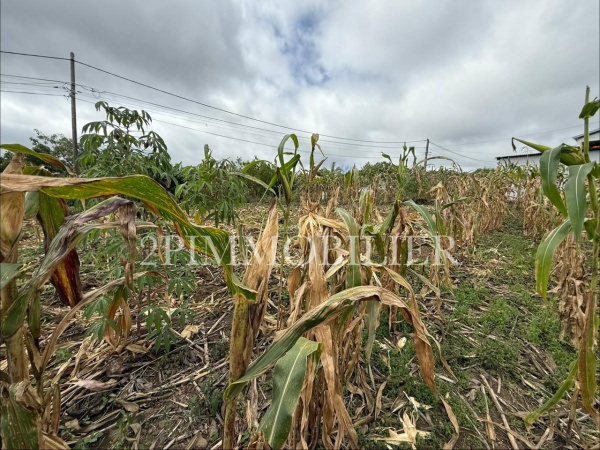 Offres de vente Terrain Tampon 97430